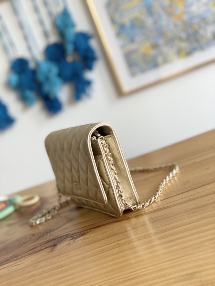 Handbag Chanel 0250 size 19 cm