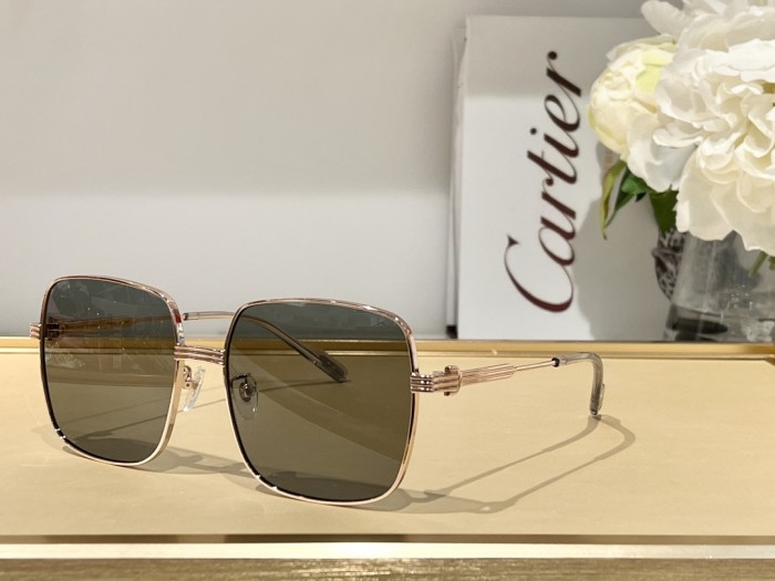 Sunglasses Cartier CT0304 SIZE：59 17-145
