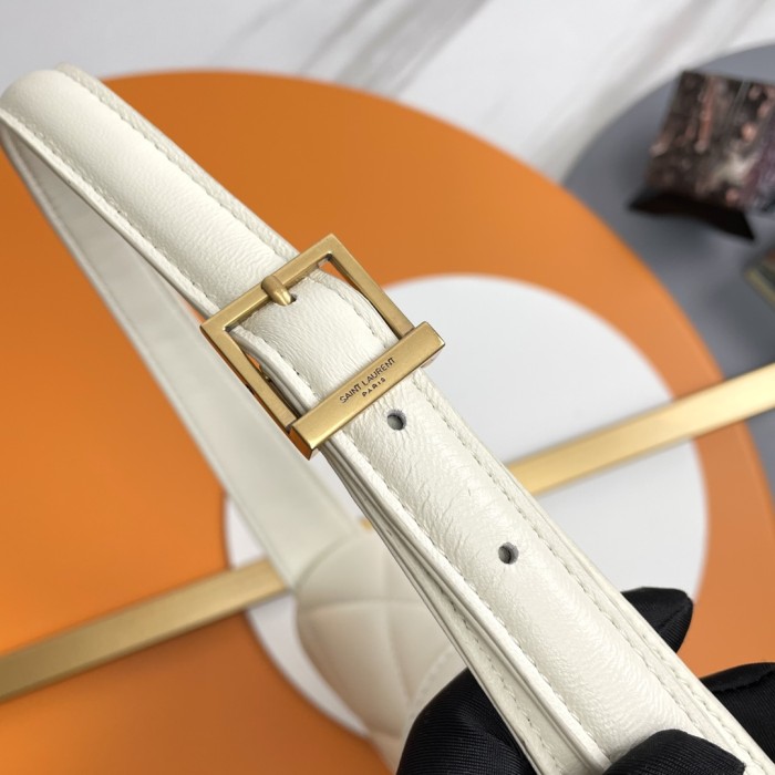 Handbags SAINT LAURENT 698567 size 24×18×5.5 cm