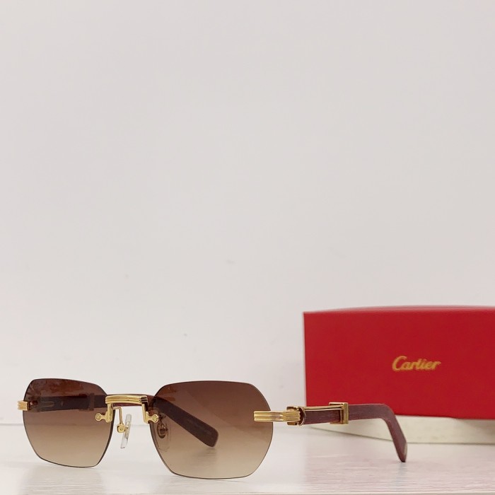 Sunglasses Cartier CT0362S size：55-21-145