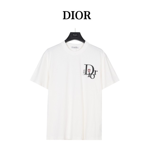 Clothes DIOR 250