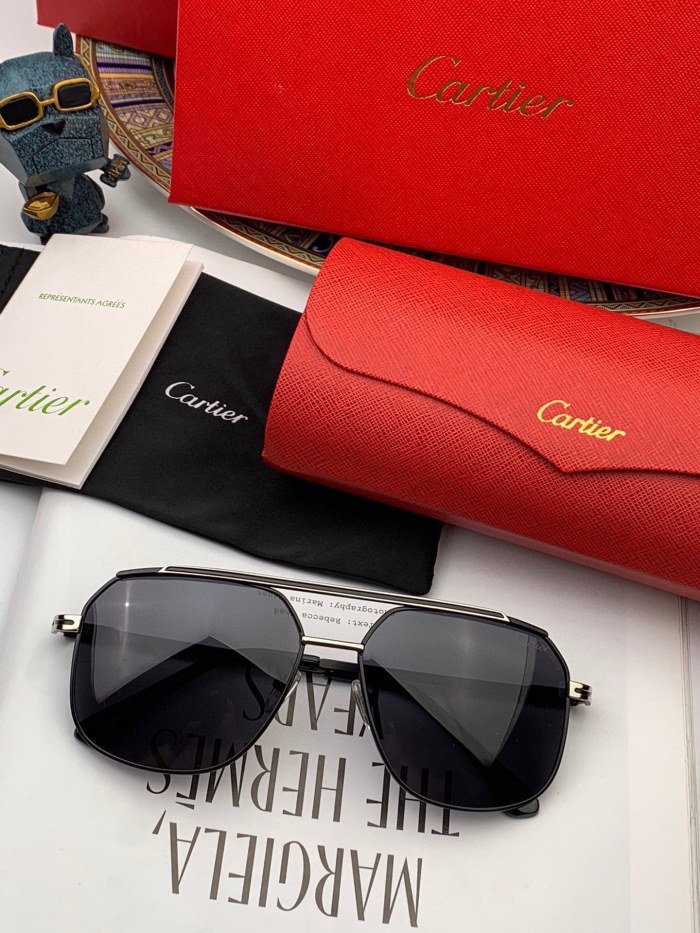 Sunglasses Cartie KDY145
