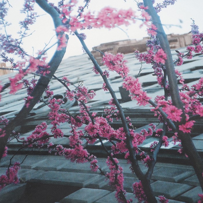 Clothes FEAR OF GOD FOG 145