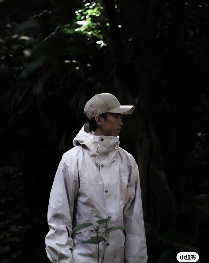 Colthes The North Face x Kaws 1