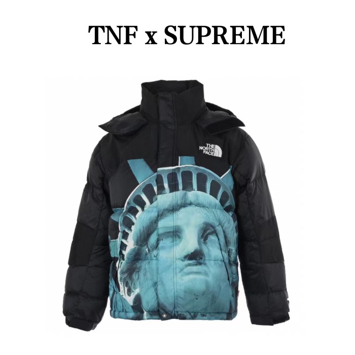 Clothes The North Face x Supreme 1