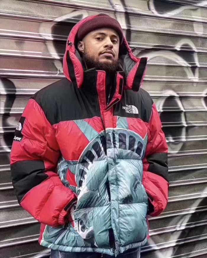 Clothes The North Face x Supreme 3