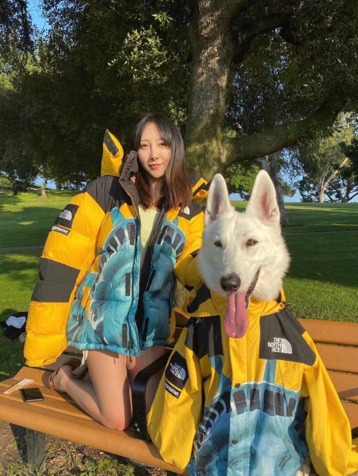 Clothes The North Face x Supreme 2