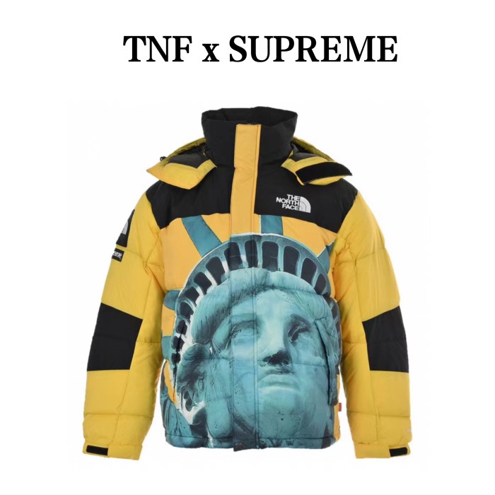 Clothes The North Face x Supreme 2