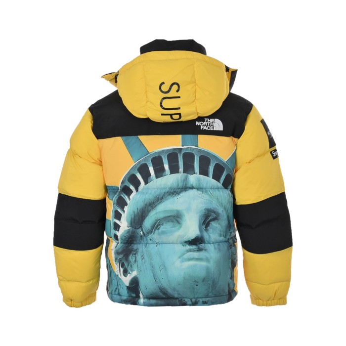 Clothes The North Face x Supreme 2