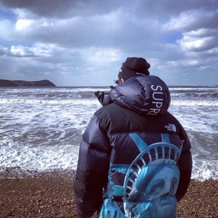 Clothes The North Face x Supreme 1