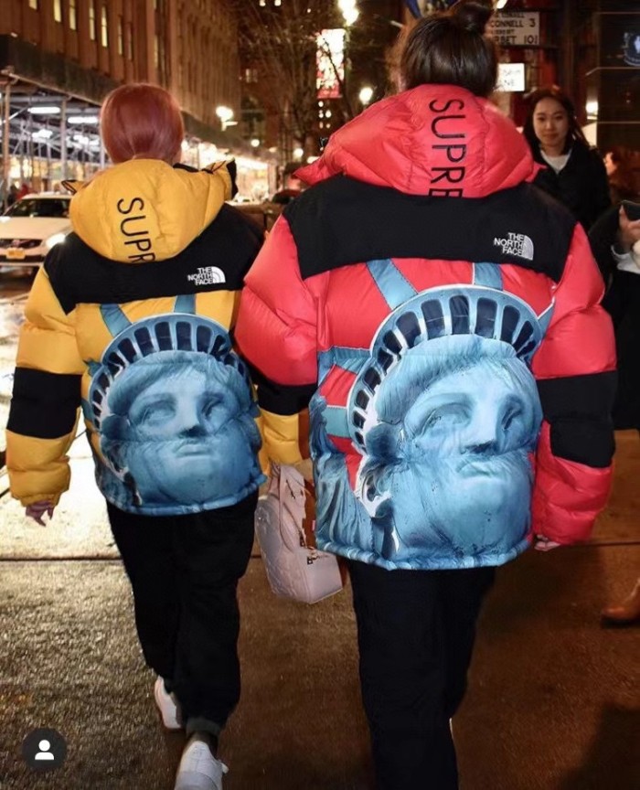 Clothes The North Face x Supreme 3