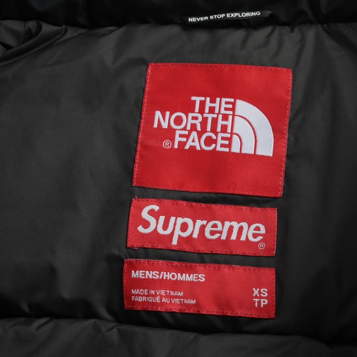 Clothes The North Face x Supreme 2