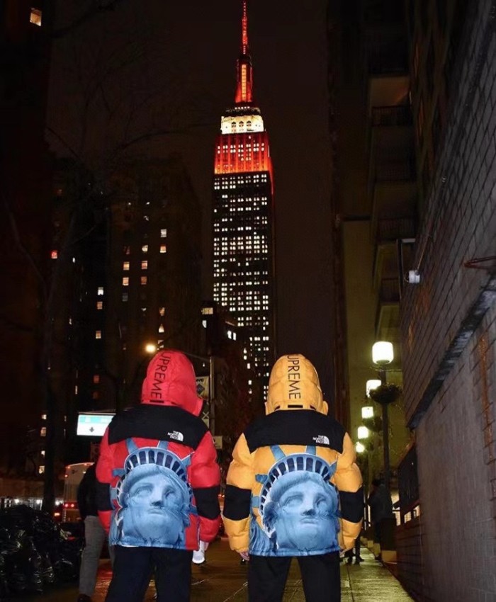 Clothes The North Face x Supreme 3