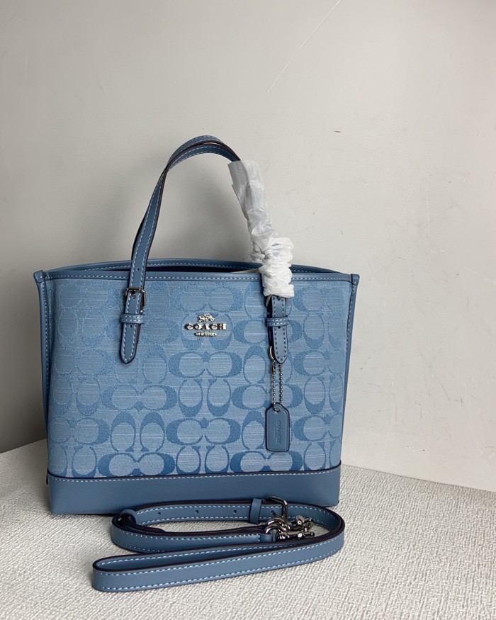Coach CH228 size:25*19*11