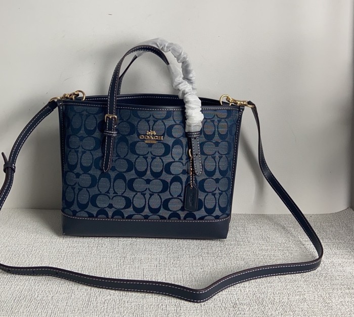 Coach CH228 size:25*19*11