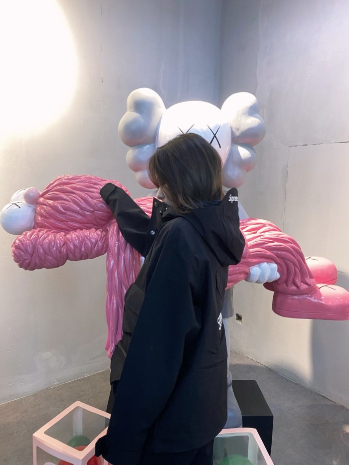 Clothes The North Face x Supreme 4