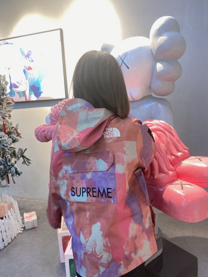 Clothes The North Face x Supreme 5