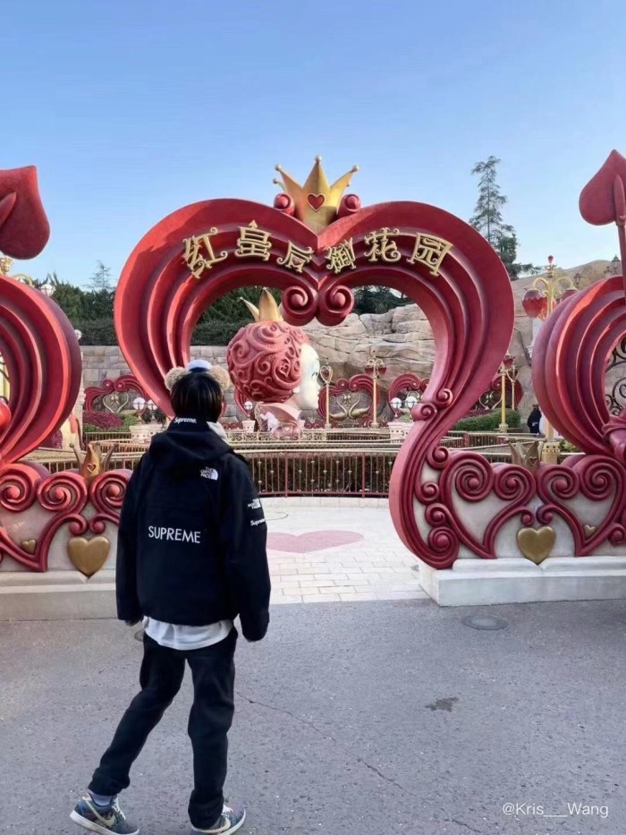 Clothes The North Face x Supreme 4