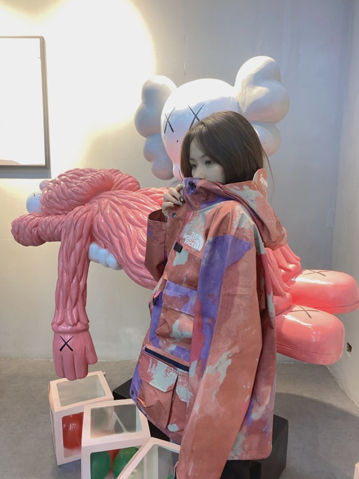 Clothes The North Face x Supreme 5