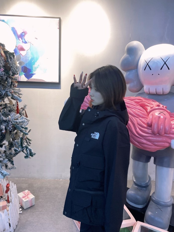 Clothes The North Face x Supreme 4