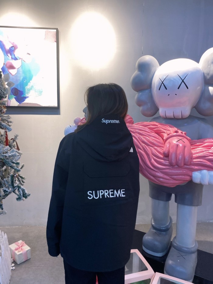 Clothes The North Face x Supreme 4