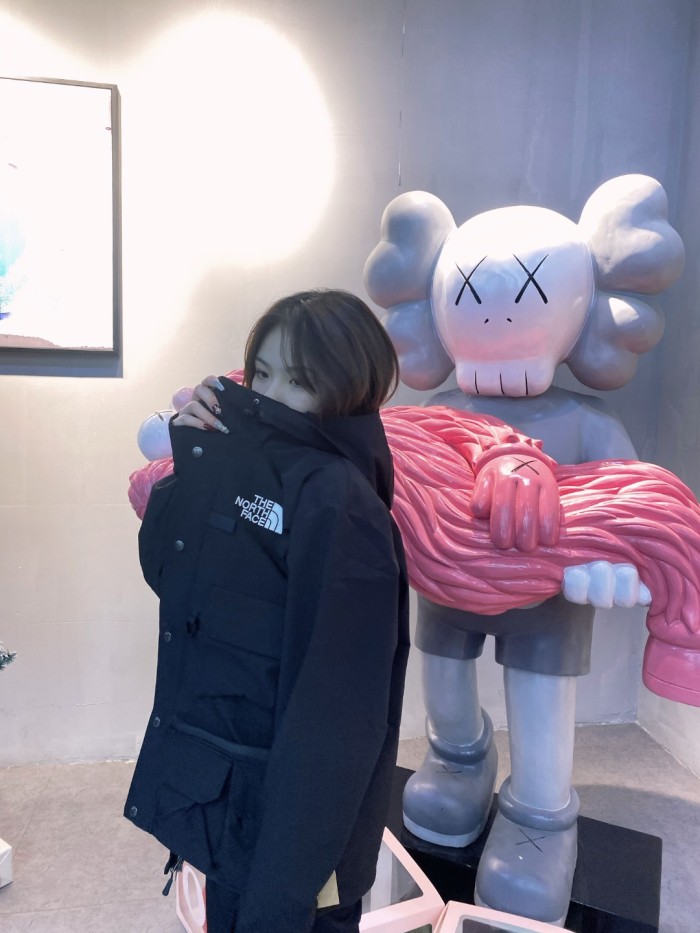 Clothes The North Face x Supreme 4