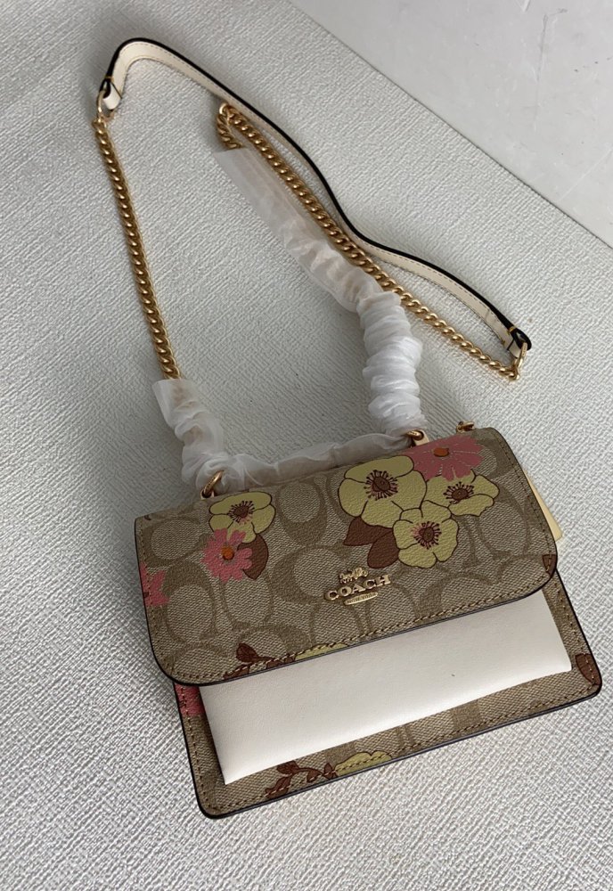 Handbags Coach CH256 size:18*15*6