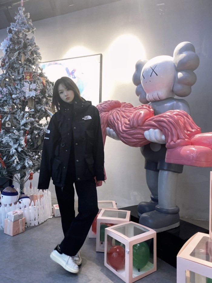 Clothes The North Face x Supreme 4