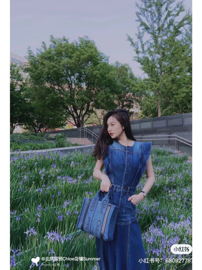 Handbags Chloe Woody Mini