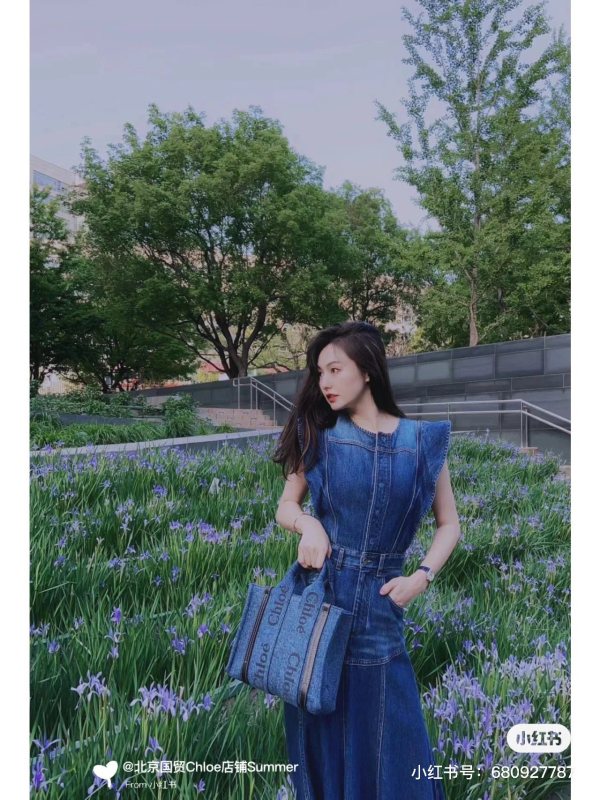 Handbags Chloe Woody Mini