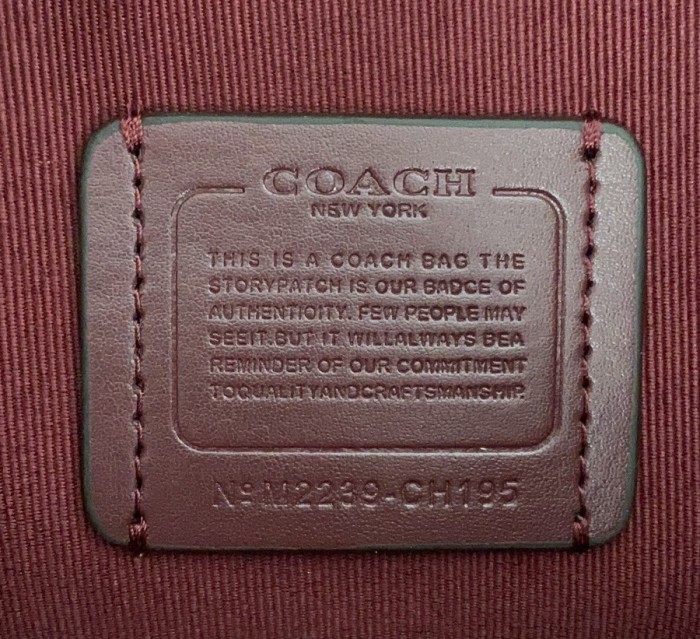 Handbags Coach CH542 size:30*22.5*14cm