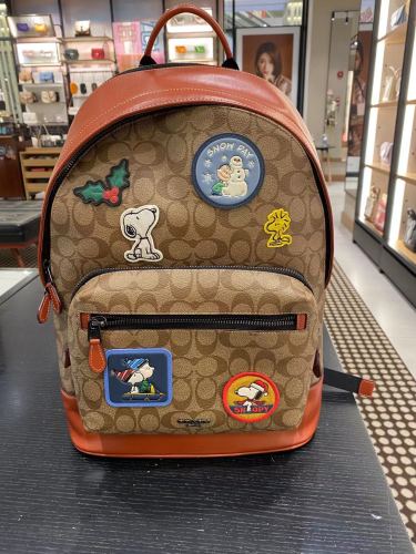 Handbags Coach CE487 size:42.5*32*15