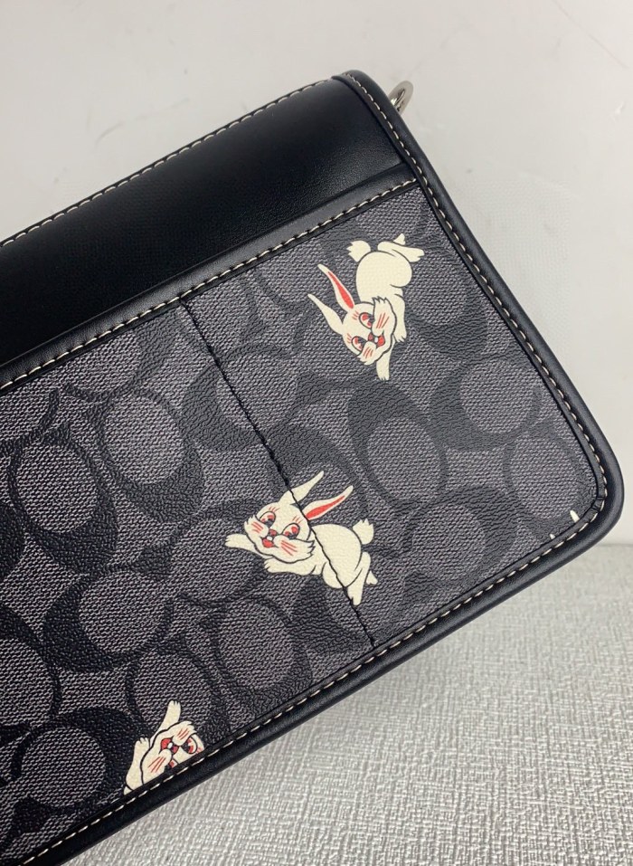 Handbags Coach CG300 size:24.5*16*5