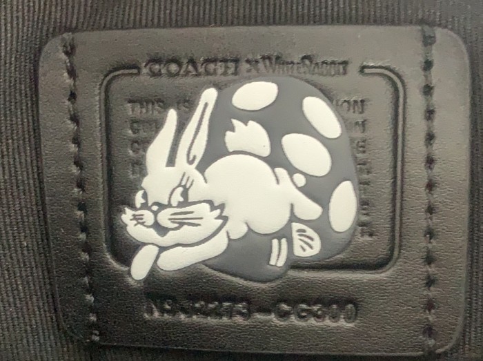 Handbags Coach CG300 size:24.5*16*5