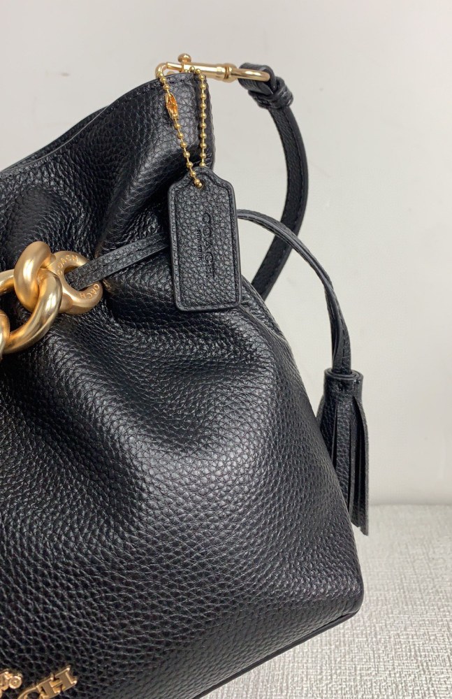 Handbags Coach CE555 size:24*20*9