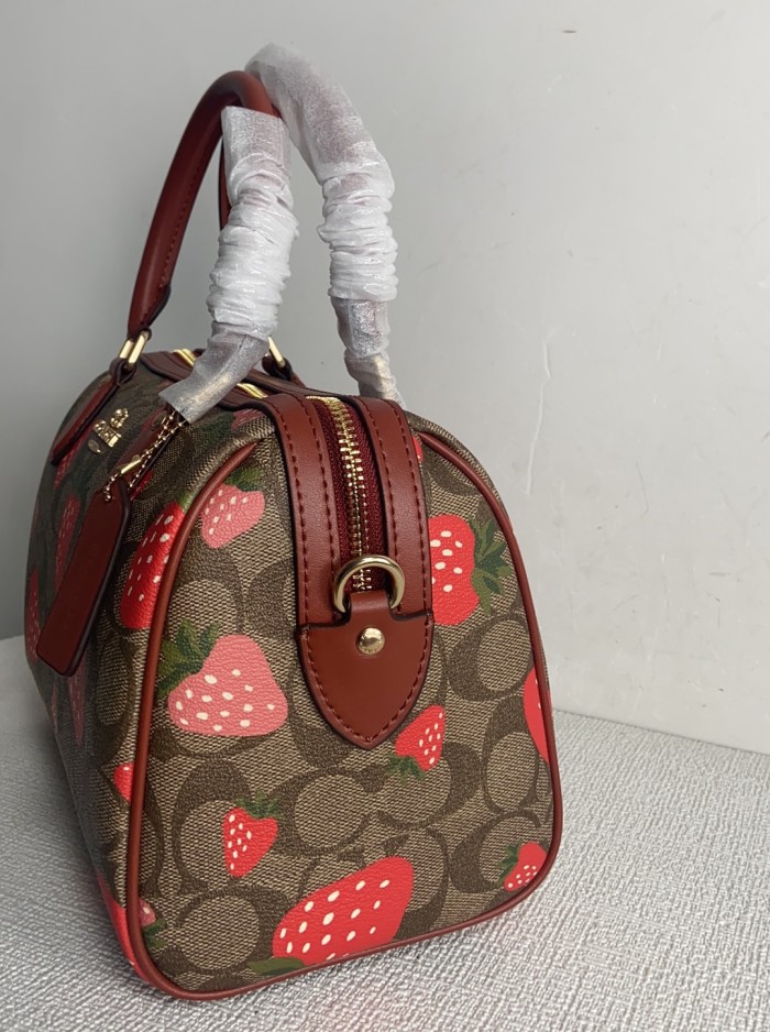 Handbags Coach CH511 size:24*18*10