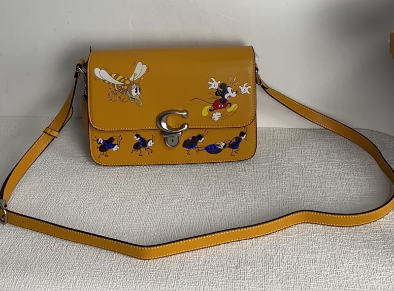 Handbags Coach CH750 size:23*14*5