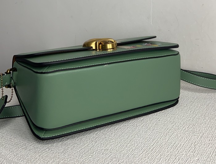 Handbags Coach CH467 size:25*14*6cm