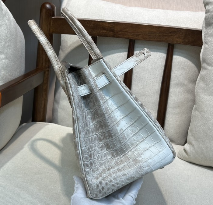 Handbags Hermes birkin size:25 cm