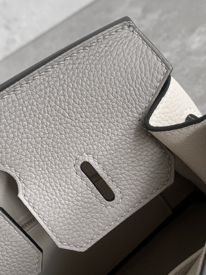 Handbags Hermes birkjn size:25 cm