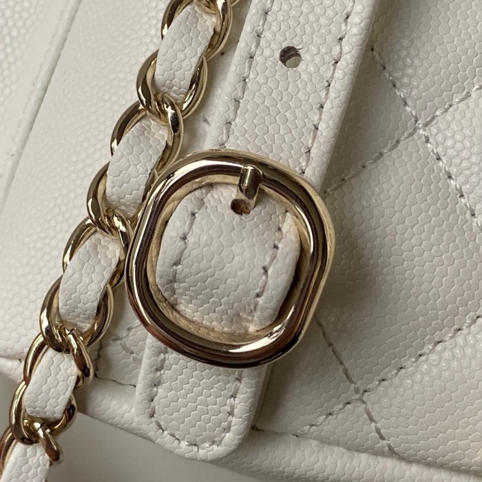 Handbags LOEWE AS4399 size:19.5X18X10 cm