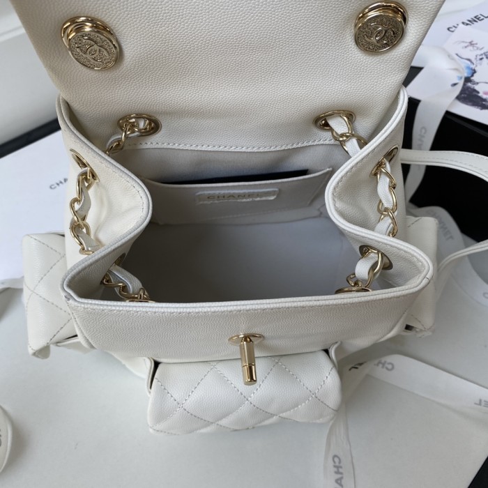 Handbags LOEWE AS4399 size:21.5X19.5X12 cm