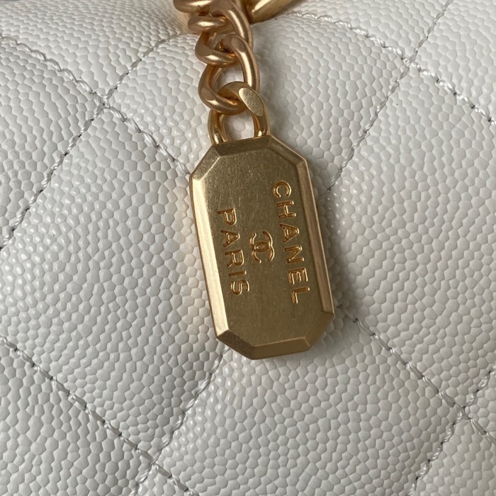 Handbags Chanel AS4286 size:15X21X9 cm