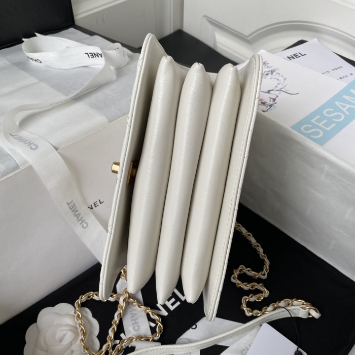 Handbags Chanel AS4286 size:15X21X9 cm