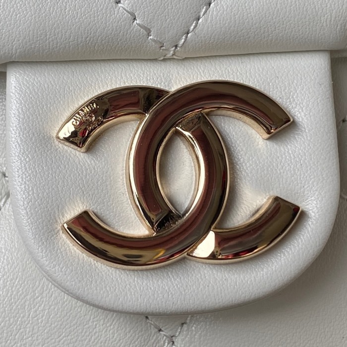 Handbags Chanel AS4347 size:28×22.5×13 cm