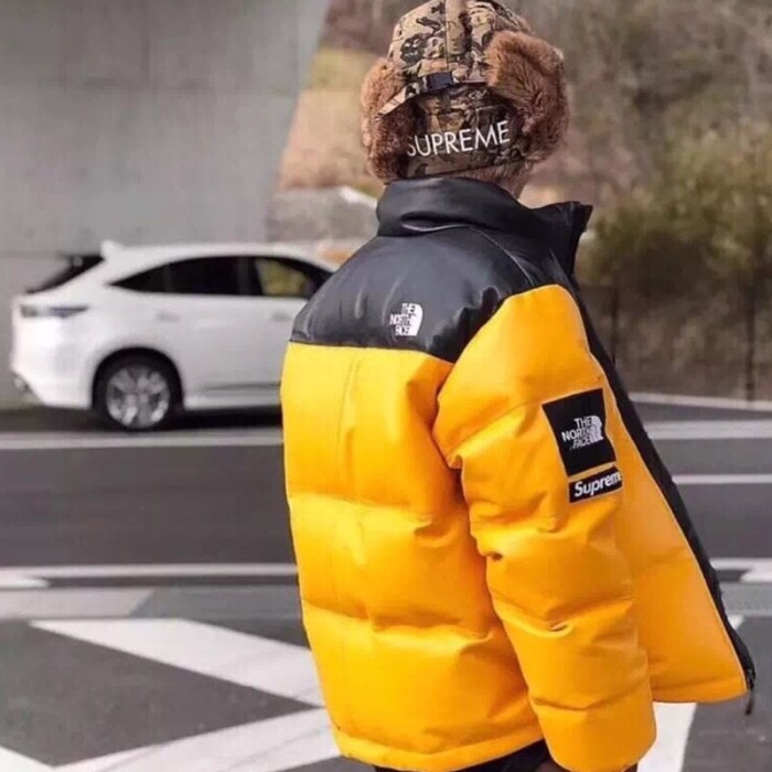 Clothes The North Face x Supreme 12