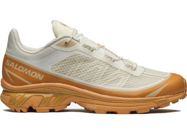 Salomon XT-6 FT Vanilla Ice Hazelnut