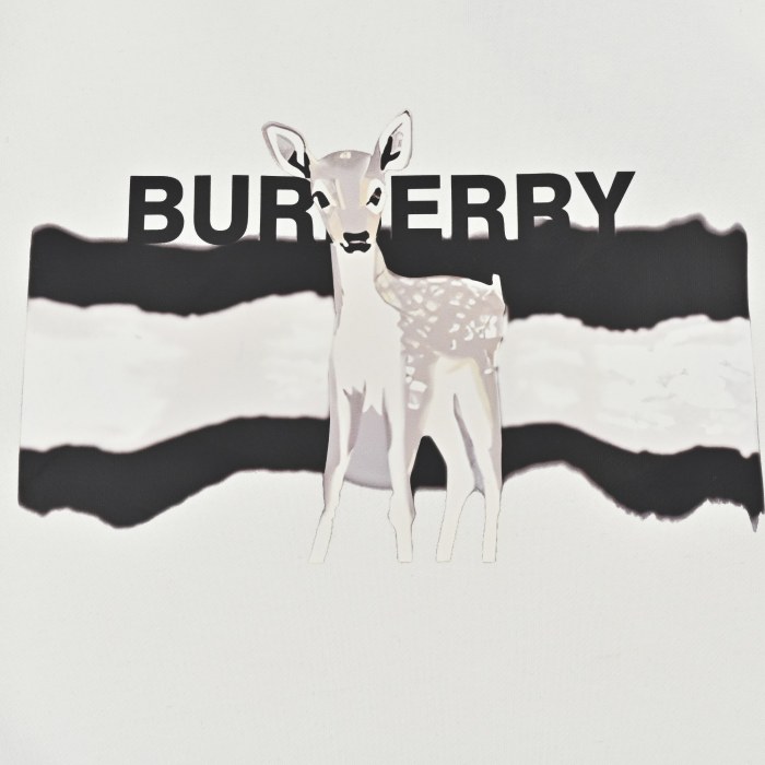 Clothes Burberry 557