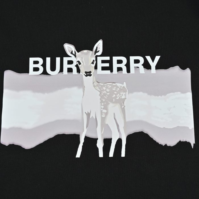 Clothes Burberry 556