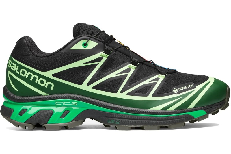 Salomon Advanced XT-6 Gore-Tex Eden Green Ash